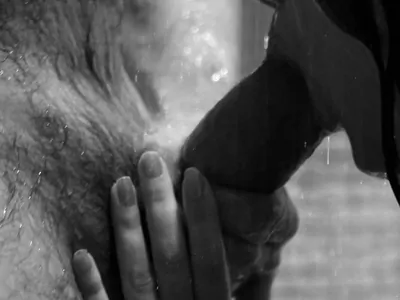 Миньет красиво черно белое картинка 41018