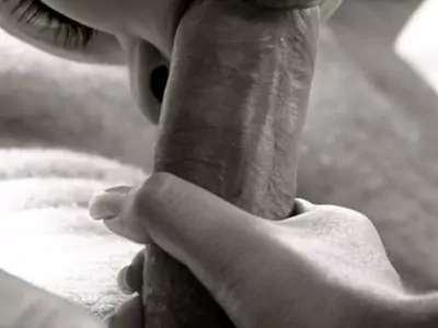 Черно белый Миньет красивый картинка 41029